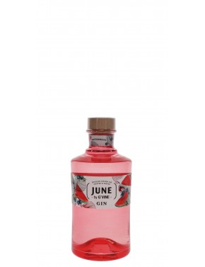 GIN JUNE BY G'VINE WATERMELON 37,5°   70CL