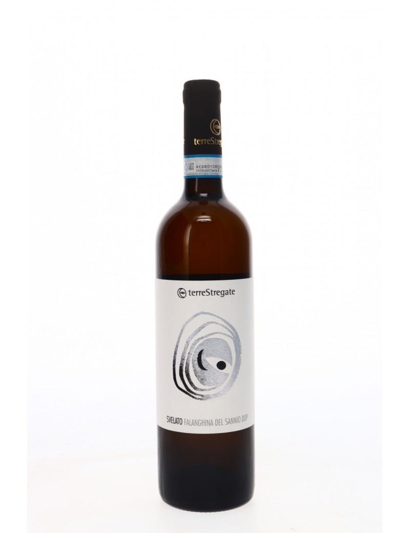 FALANGHINA DEL SANNIO SVELATO TERRE STREGATE