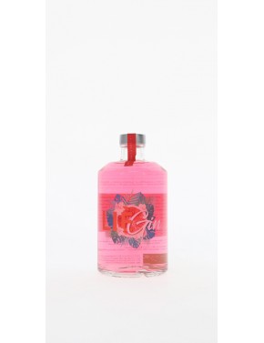 GIN LIEGIN LIMITED EDITION BLOOD ORANGE 40°   50CL