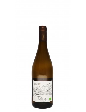 MUSCADET SUR LIE TERRE DE SCHISTE DOMAINE DE LA FOLIETTE