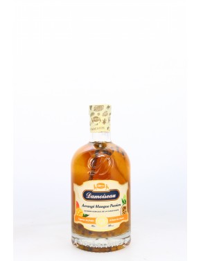 LIQUEUR ARRANGE MANGUE PASSION DAMOISEAU