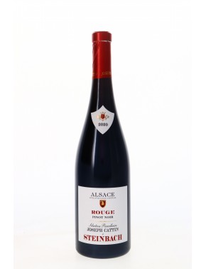 ALSACE PINOT NOIR "STEINBACH" CATTIN