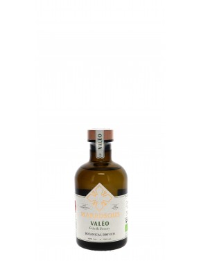 GIN MAREDSOUS VALEO 40°   50CL