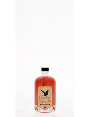 GIN BLACKBIRD'S FRAISE DE WEPION 40°   50CL