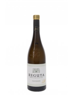 IGP TREVENEZIE SAUVIGNON REGUTA