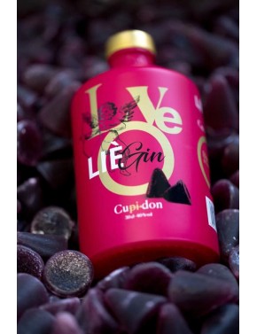 GIN LIEGIN CUPIDON 40°   50CL