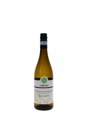 VERDICCHIO DEI CASTELLI DI JESI BACCALORO PODERE LAILA