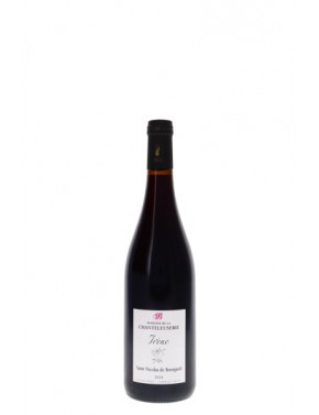 SAINT NICOLAS DE BOURGUEIL IRENE DOMAINE DE LA CHANTELEUSERIE
