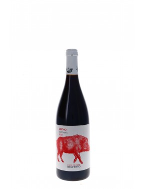 IGT TOSCANA SIRENO BELVENTO