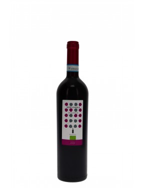 SICILIA DOC NERO D'AVOLA CANTINE PAOLINI