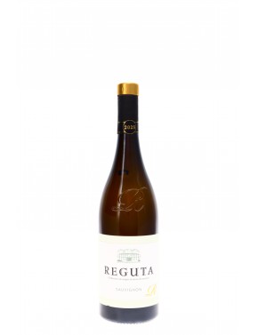 IGP TREVENEZIE SAUVIGNON REGUTA