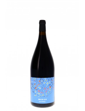 LANGUEDOC MARIUS DOMAINE DE LA DOURBIE Magnum