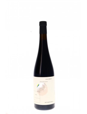 VIN DE FRANCE ROUGE INTEMPORAL DOMAINE DE LA DOURBIE
