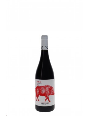 IGT TOSCANA SIRENO BELVENTO