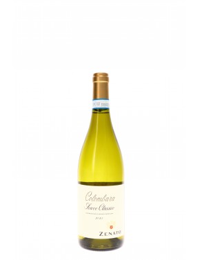 SOAVE CLASSICO COLOMBARA DOC ZENATO