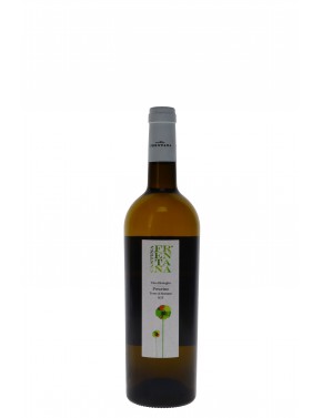 IGT TERRE DI CHIETI BIO CANTINA FRENTANA
