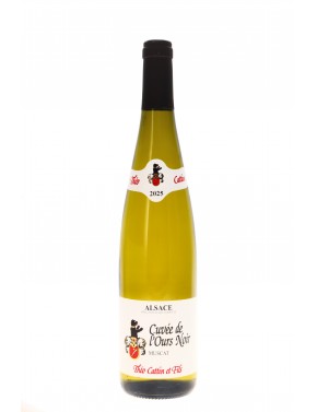 ALSACE MUSCAT CUVEE DE L'OURS NOIR THEO CATTIN