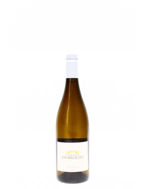 CORSE SARTENE BLANC DOMAINE FIUMICICOLI