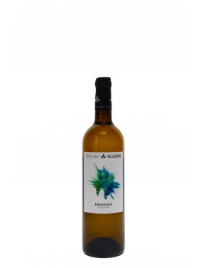 JURANCON SEC ENERGIQUE DOMAINE BELLEGARDE