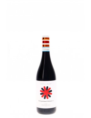 MONTEPULCIANO D'ABRUZZO COSTA DEL MULINO DOC CANTINA FRENTANA