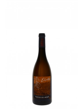 SAVOIE BLANC ELECTRIK TERROIR DES ABYMES DOMAINE RAVIER