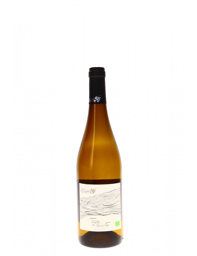 MUSCADET SUR LIE TERRE DE SCHISTE DOMAINE DE LA FOLIETTE