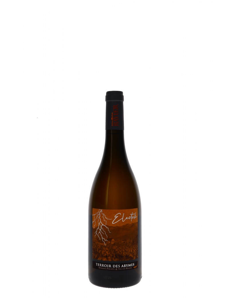 SAVOIE BLANC ELECTRIK TERROIR DES ABYMES DOMAINE RAVIER