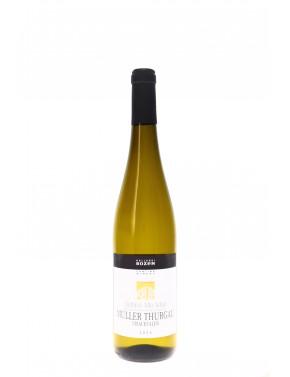 SÜDTIROL - ALTO ADIGE MÜLLER THURGAU EISACKTALER KELLEREI BOZEN