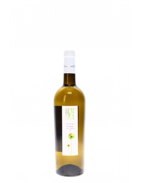 IGT TERRE DI CHIETI BIO CANTINA FRENTANA