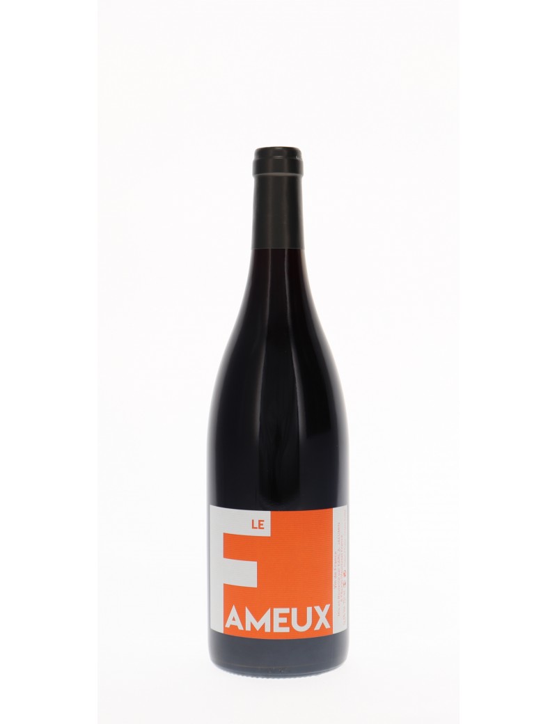 VIN DE FRANCE LE FAMEUX DOMAINE ALBIN JACUMIN