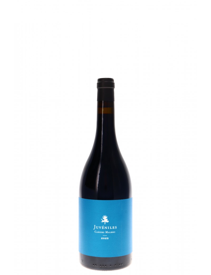 CAHORS MALBEC JUVENILES CHATEAU DU CEDRE