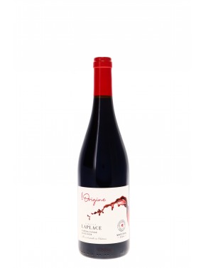 MADIRAN L'ORIGINE CHATEAU D'AYDIE