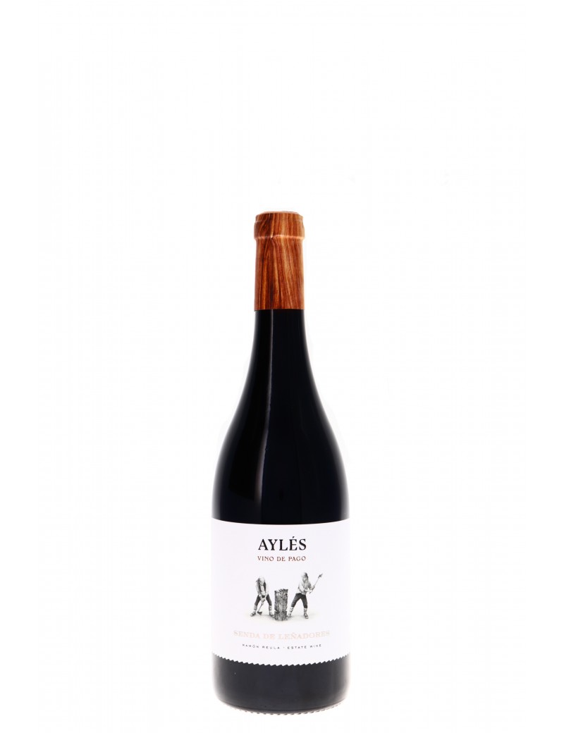 SENDA DE LENADORES AYLES 