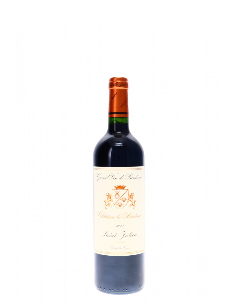 SAINT JULIEN CHATEAU LA BRIDANE