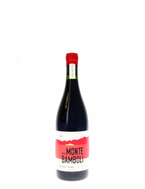 IGT MONTEBAMBOLI CABERNET FRANC PETRA 