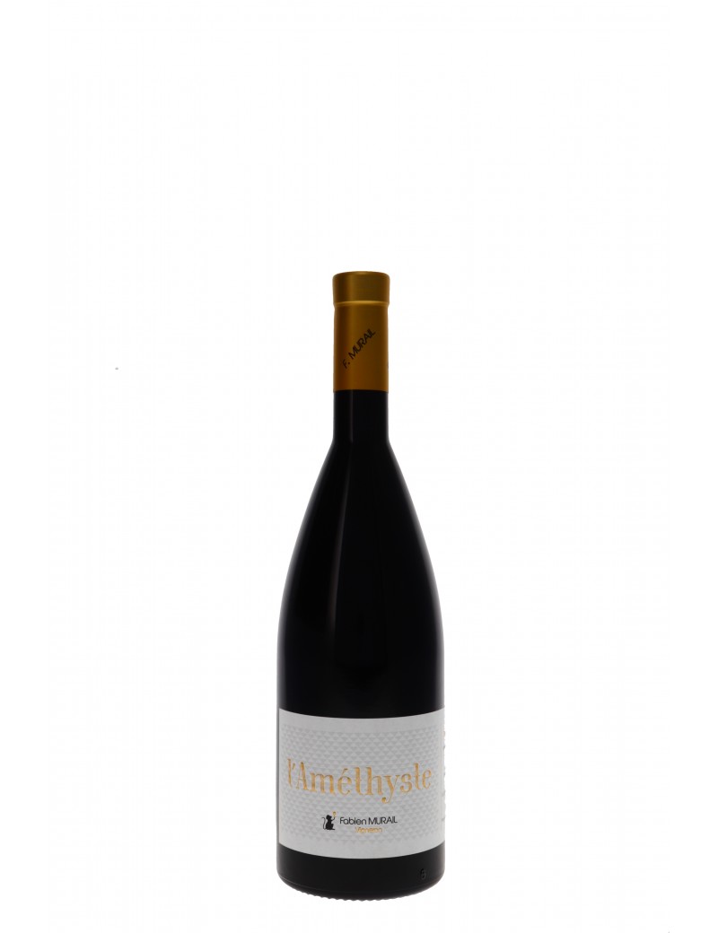 FIEFS VENDEENS MAREUIL L'AMETHYSTE FABIEN MURAIL