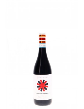 MONTEPULCIANO D'ABRUZZO COSTA DEL MULINO DOC CANTINA FRENTANA