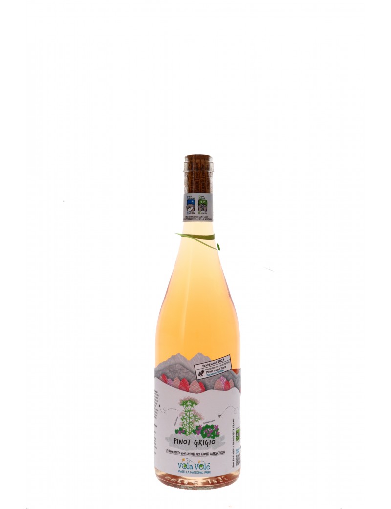  IGP TERRE D'ABRUZZO PINOT GRIGIO VOLA VOLE MAIELLA