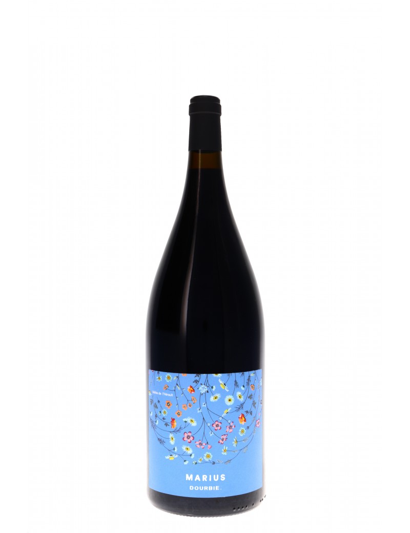 LANGUEDOC MARIUS DOMAINE DE LA DOURBIE Magnum