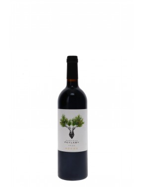 MEDOC CERF CHATEAU PEYLABY
