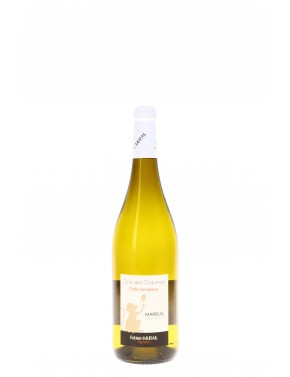 FIEFS VENDEENS MAREUIL BLANC FABIEN MURAIL