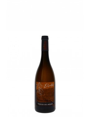 SAVOIE BLANC ELECTRIK TERROIR DES ABYMES DOMAINE RAVIER