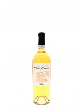 GAILLAC LA VIGNE DE L'OUBLI DOMAINE D'ESCAUSSES
