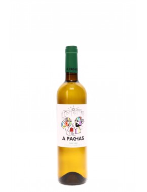 MALVAR A PACHAS