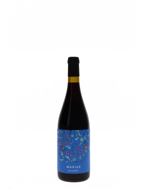 LANGUEDOC ROUGE MARIUS DOMAINE DE LA DOURBIE
