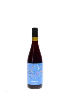 LANGUEDOC ROUGE MARIUS DOMAINE DE LA DOURBIE