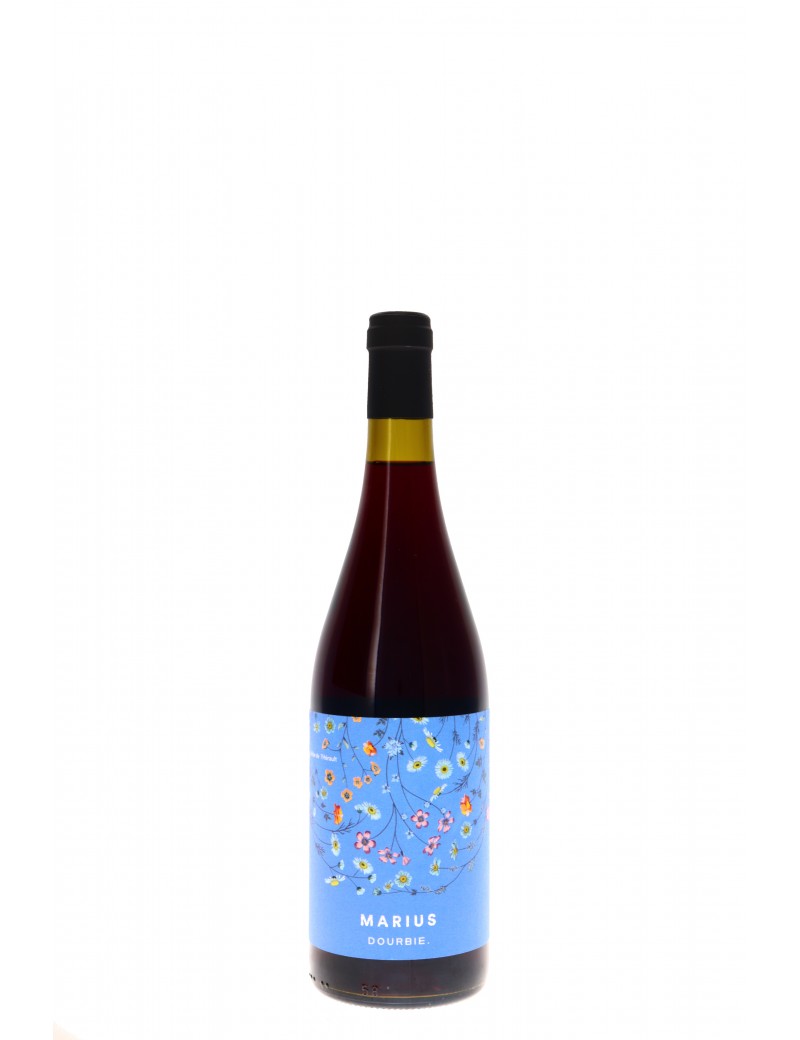 LANGUEDOC ROUGE MARIUS DOMAINE DE LA DOURBIE