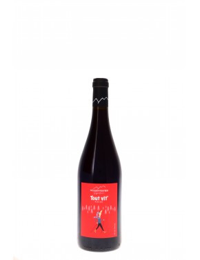 SAVOIE TOUT VIT' ROUGE DOMAINE RAVIER