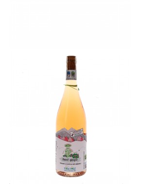  IGP TERRE D'ABRUZZO PINOT GRIGIO VOLA VOLE MAIELLA