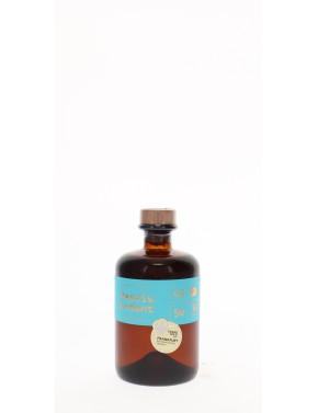 PASTIS ARDENT 45°   50CL